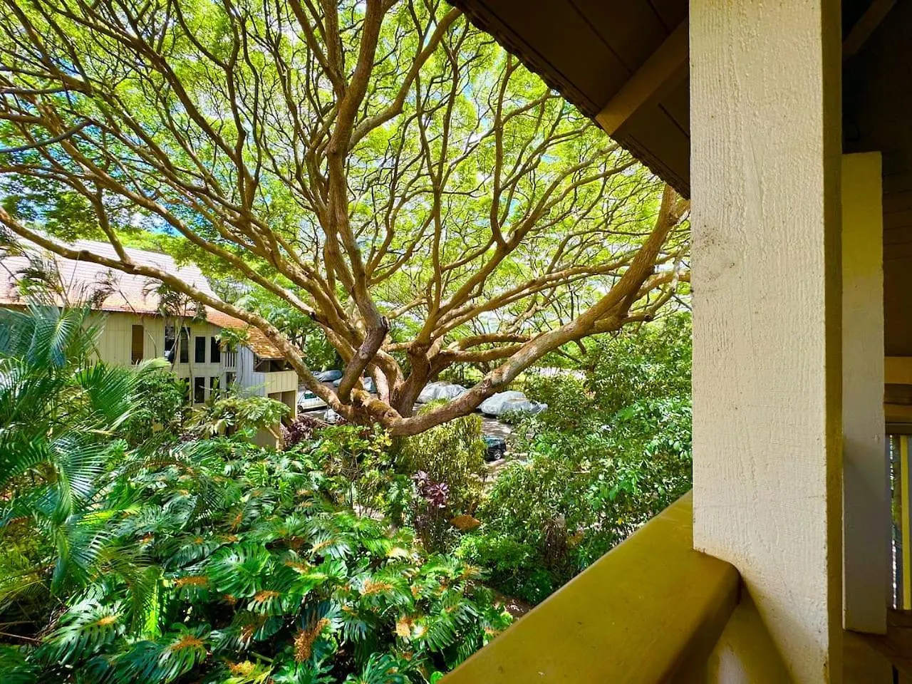 Tropical Treehouse Near The Beach Koloa 0*,  Verenigde Staten