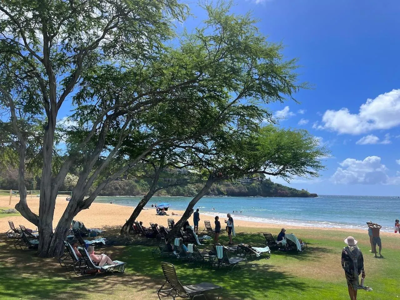 Vakantiehuis Tropical Treehouse Near The Beach Koloa