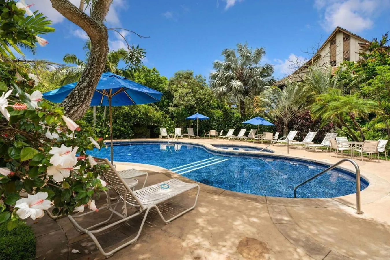 Tropical Treehouse Near The Beach Koloa Verenigde Staten